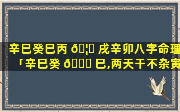 辛巳癸巳丙 🦈 戌辛卯八字命理「辛巳癸 🐞 巳,两天干不杂寅辰,透出丙火,命主都极其显贵」